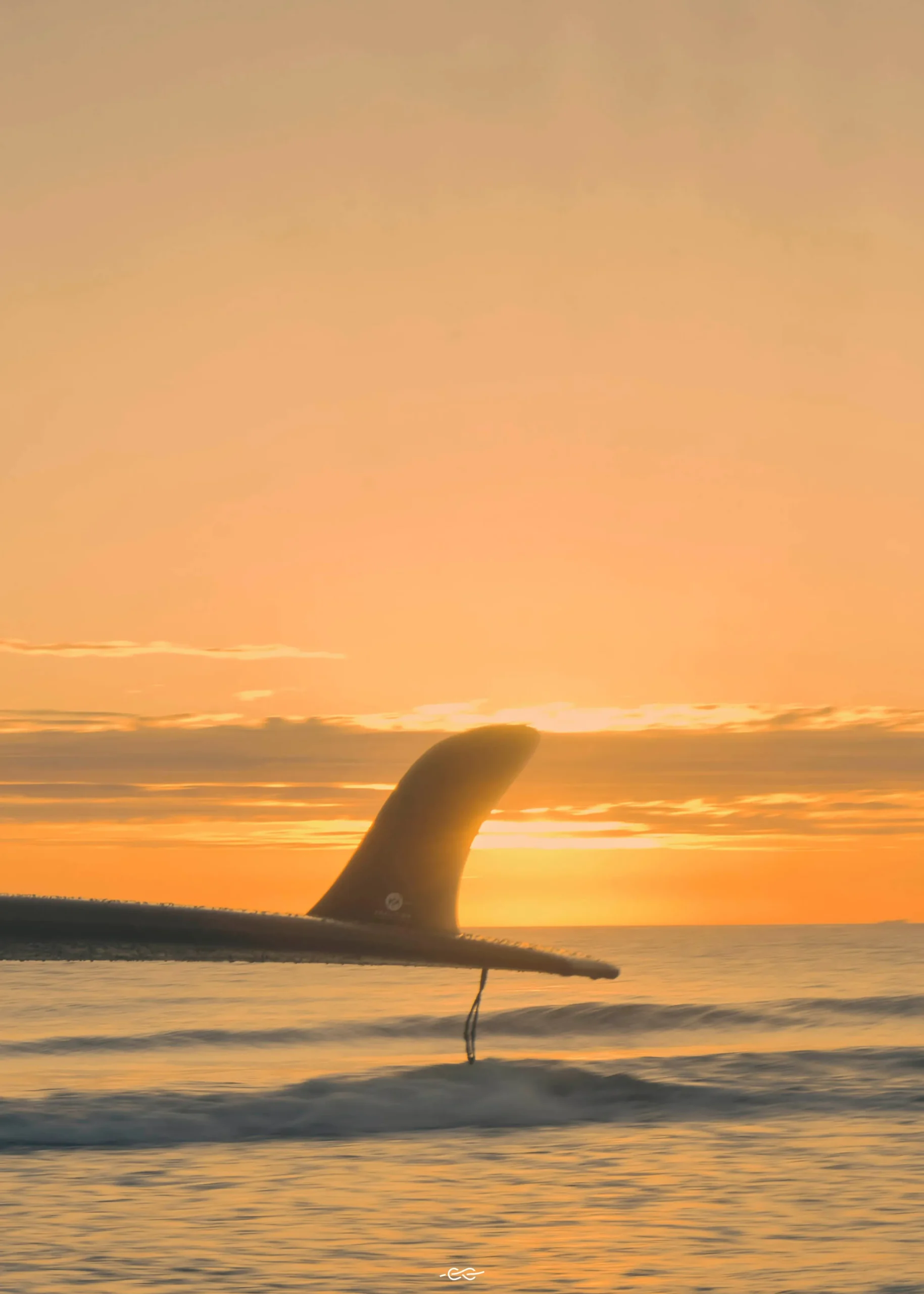 Klitmoller Collective Posters 40x50-Sunset fin 40x50 - Poster