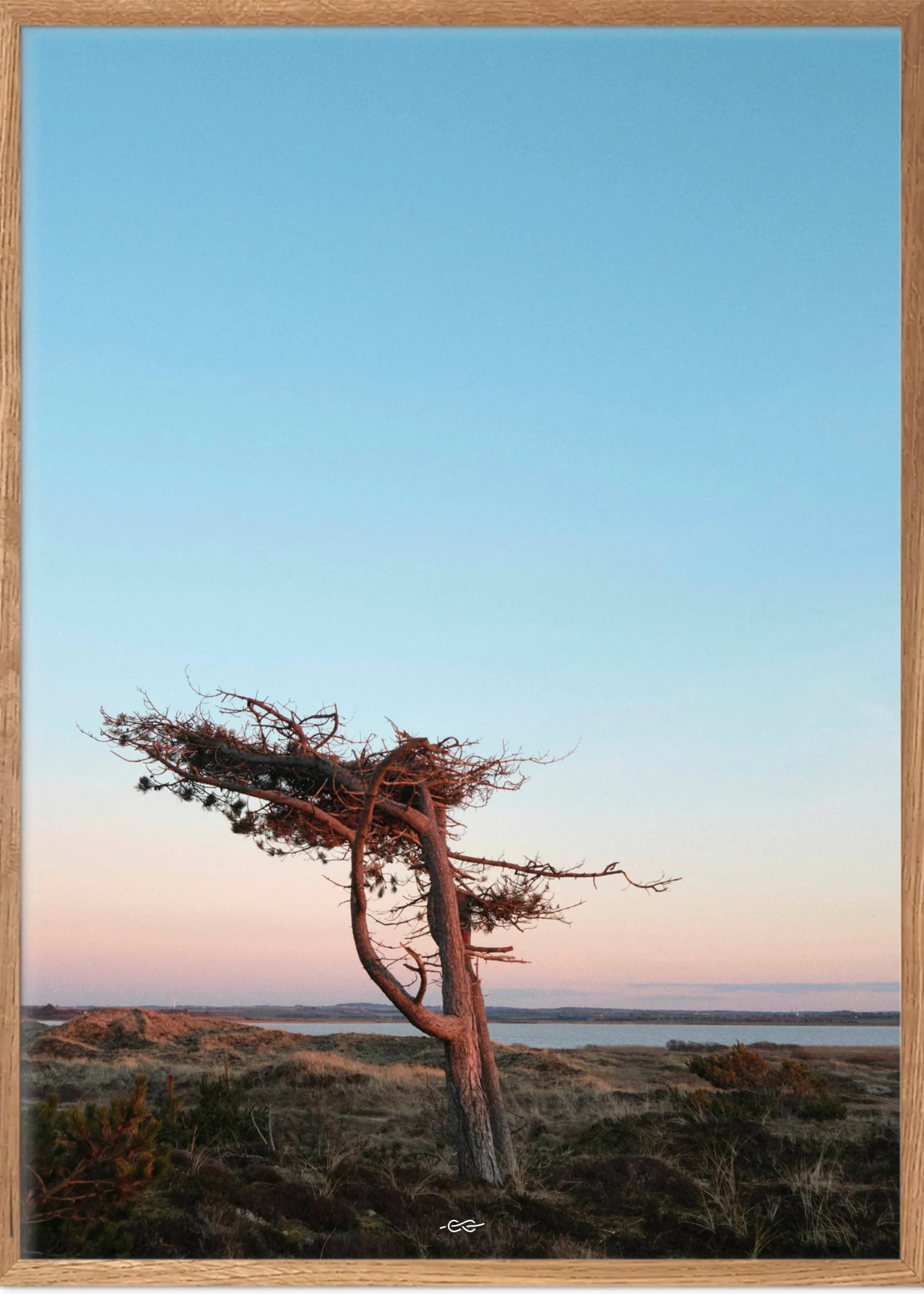 Klitmoller Collective Posters 40x50-Tree 40x50 - Poster